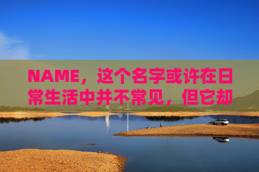 NAME，这个名字或许在日常生活中并不常见，但它却在某些领域里扮演着重要的角色。今天，让我们一起来探索这个名字背后的故事和意义